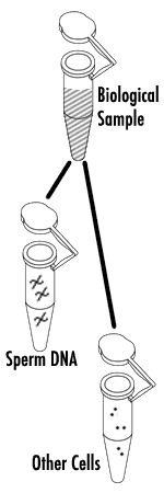 illustration of test tubes