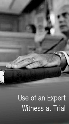 Use of an Expert Witness at Trial
