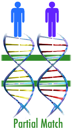 illustration showing a partial match
