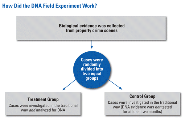 Chart detailing DNA field experiment